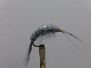 Size 12 Gammarus Weighted  Grey